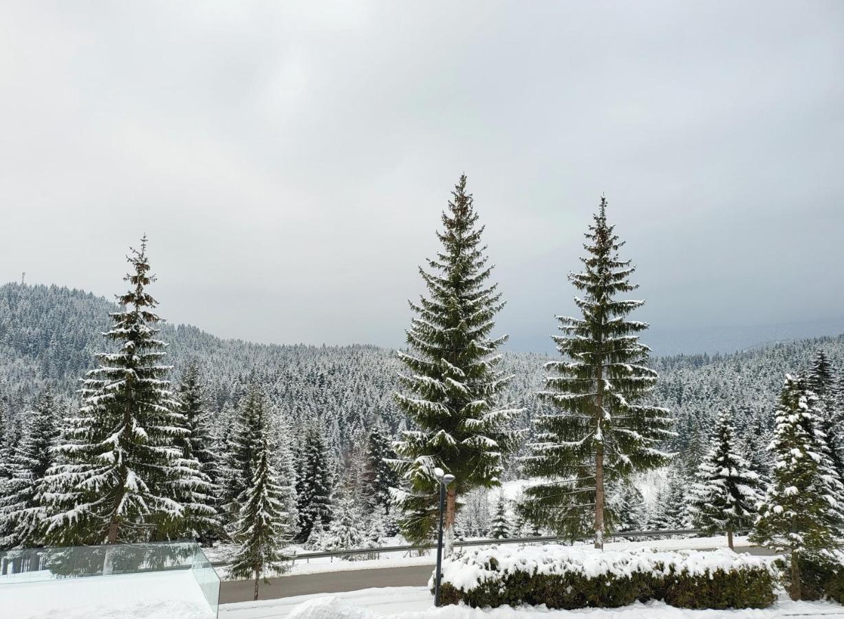 Hotel Forest Пале Екстериор снимка